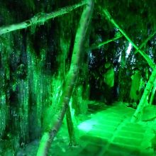 苔の洞門を模した緑のトンネル