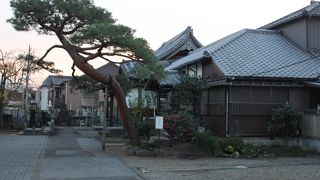 多くの無縁仏を供養しているお寺