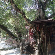 滝の中のカフェ