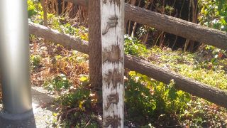 渋いスポット！