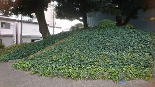 よく保存してあり素晴らしい