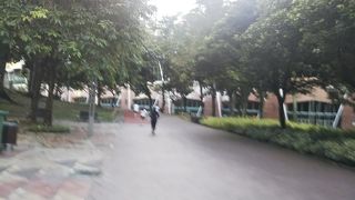 ランニングコースは地面が柔らかくなってて走りやすい