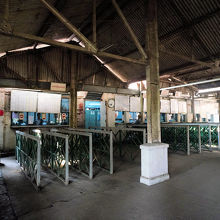 駅舎の場所が森のような中にある