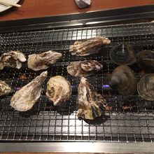 最初に用意されている貝です