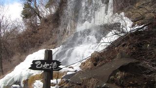 冬は全部凍ることもあるらしいです