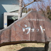 それなりの水族館