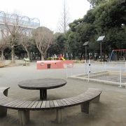 広い公園です