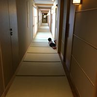 長い畳の廊下