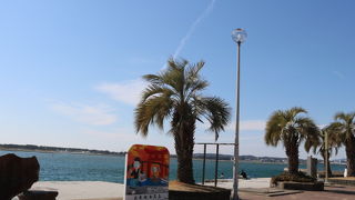 大河ドラマ関連