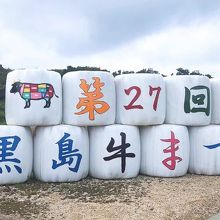 港にあったウェルカムロール