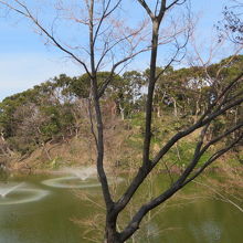 噴水もいいです