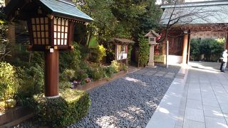 おひな祭りも近いので！