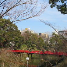 プリティーです