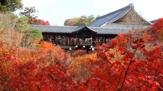 one of the 紅葉の名所 in 京都