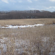 空港と反対側は札幌近郊とは思えない程の原野の風情です