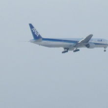 飛来機の様子１（NH便）