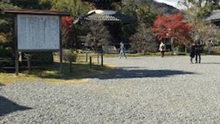 京都府指定文化財の塔