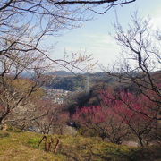 なかなかの山です