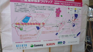 ２月下旬がピークです