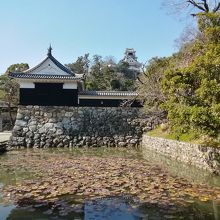 追手門越しに天守閣を望む