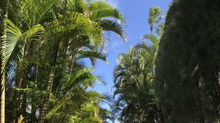 教えたくないくらい美しい！