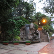 九龍公園百鳥苑