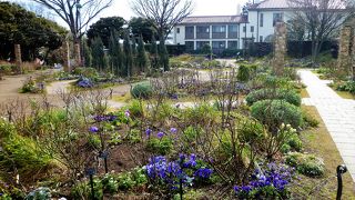 イングリッシュローズの庭