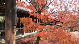 京都を代表する紅葉の名所