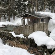 日帰り温泉