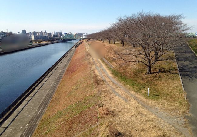 荒川赤羽桜堤緑地 クチコミ アクセス 営業時間 赤羽 フォートラベル 荒川赤羽桜堤緑地 クチコミ アクセス 営業時間 赤羽 フォートラベル