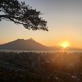 絶景桜島