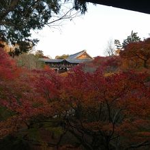 通天橋にちょっと負けるかも