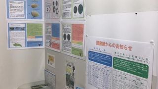 市民の憩いの場