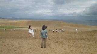 損はありません