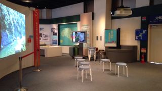 荒川の歴史や住んでいる生物など