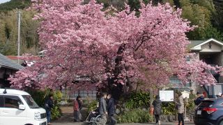 見惚れるほどに