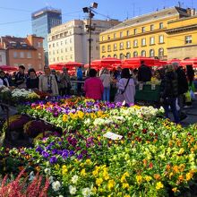 お花が咲き乱れて綺麗でした