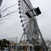 海遊館に行った際にはぜひ乗ってみてほしい