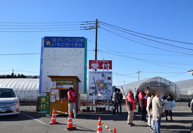 ハウスが団地の様に並んで壮観