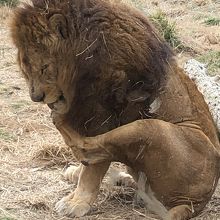 窓のすぐそこにいました