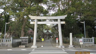 神の道、羽衣の松との調和で厳粛な雰囲気でした。