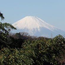 北鎌倉幼稚園上から見える富士山。