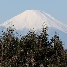白雲庵前から見える富士山。