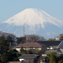 白雲庵横から見える富士山。