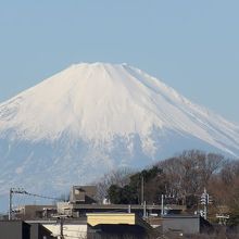 雲頂庵前から見える富士山。