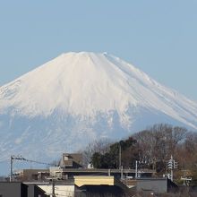 雲頂庵駐車場から見える富士山。