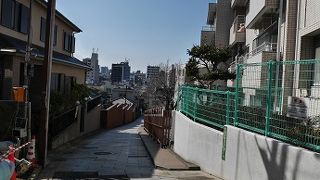 今は殆ど見えません。