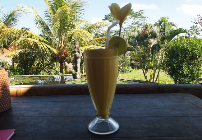 景色は良いのだけど…