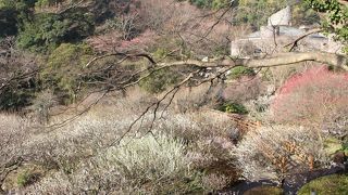 駅前の駐車場が良心価格でした
