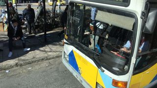 黄色で綺麗な色です